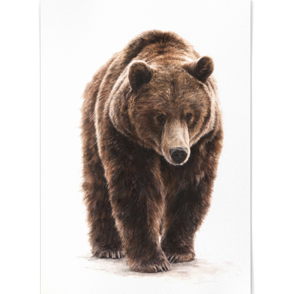 Watercolor Grizzly Bear Portrait Wall Art Print Poster - Unframed Artwork - Picture 2 of 5
